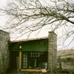 a green building with a tree in front of it